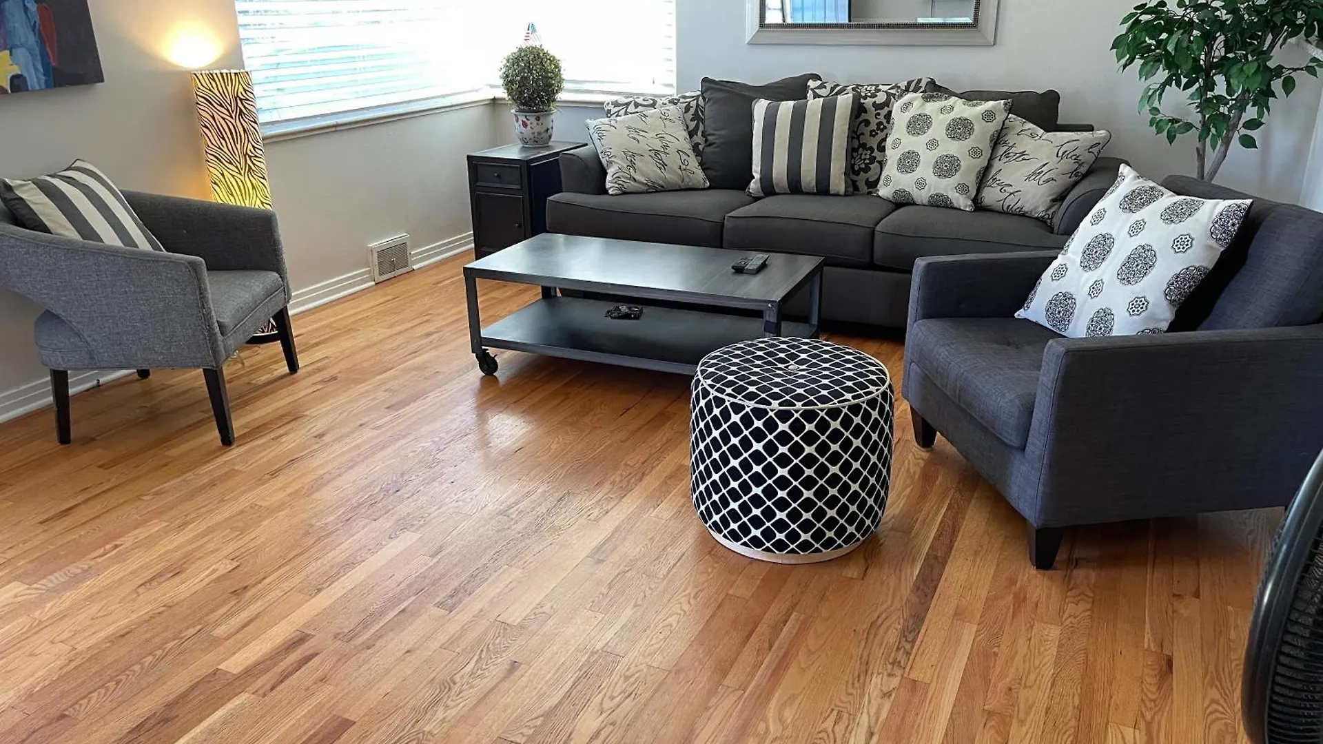 Shared House In Central Denver-Living Room Queen Sofa Sleeper