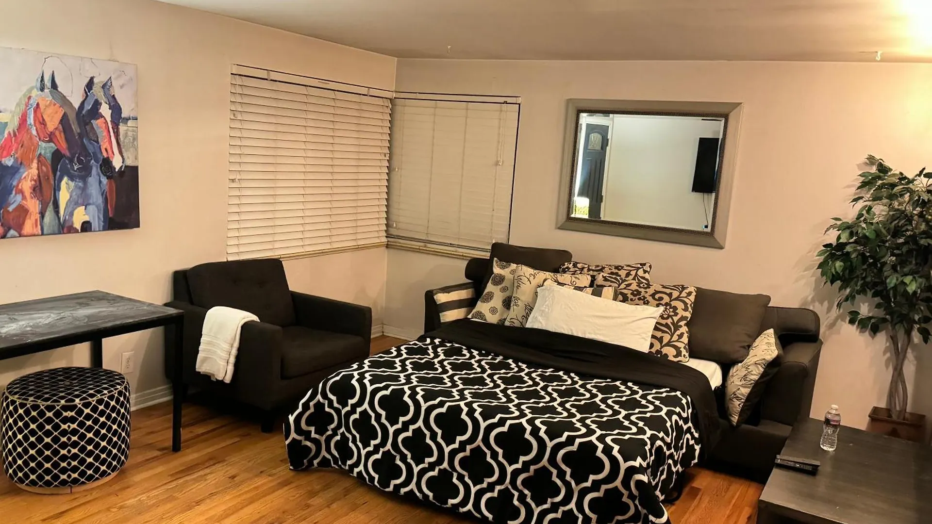 Shared House In Central Denver-Living Room Queen Sofa Sleeper United States